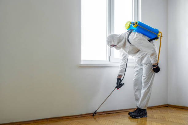 Best Residential Pest Control  in Sparta, WI