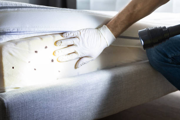 Best Wasp Removal Services  in Sparta, WI