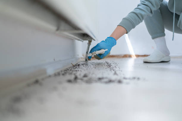 Best Affordable Pest Control Services  in Sparta, WI