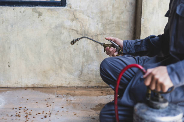 Best Affordable Pest Control Services  in Sparta, WI
