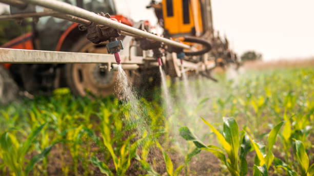 Best Local Pest Control Services  in Sparta, WI